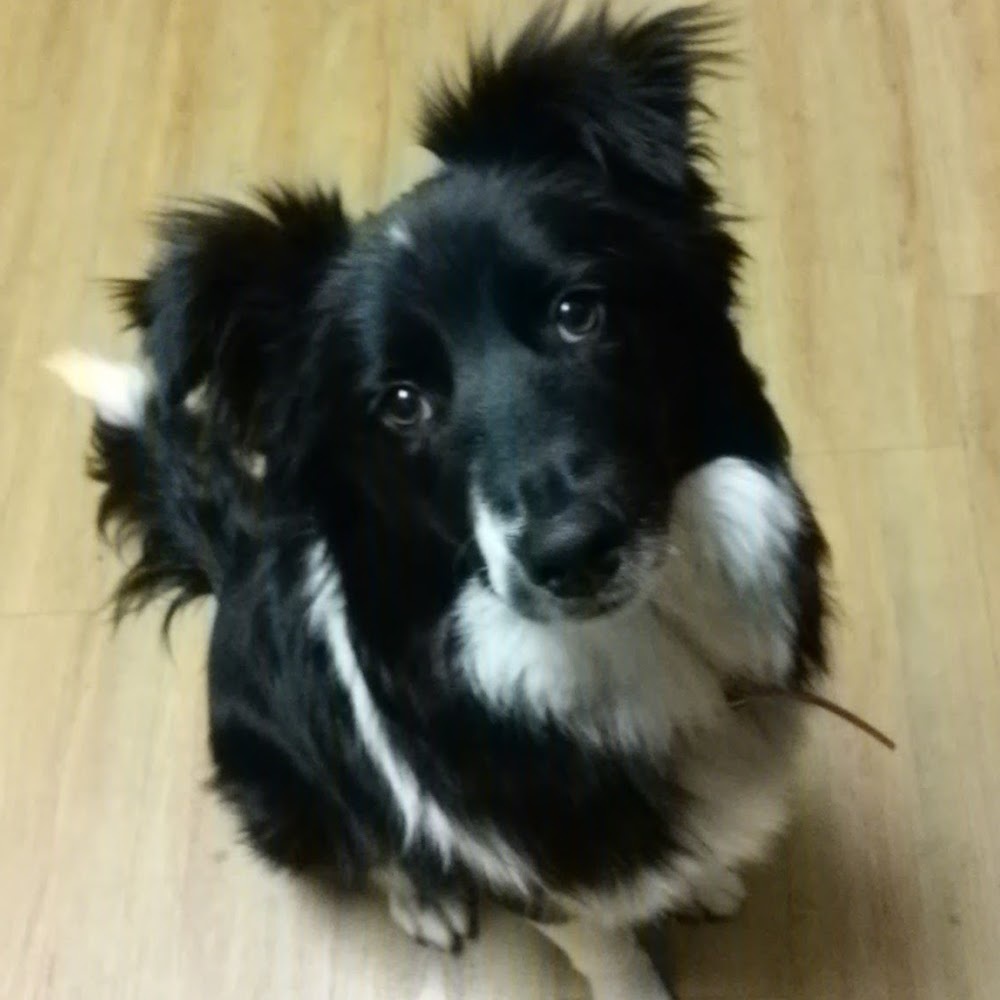Meet your Posher, Bree